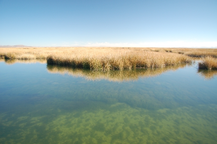Titicaca See.JPG.jpg